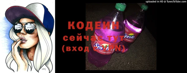 молекула духа Арсеньев