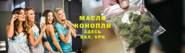 молекула духа Арсеньев