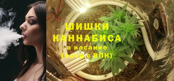 молекула духа Арсеньев