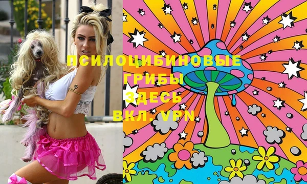 молекула духа Арсеньев