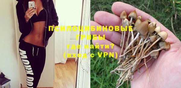 молекула духа Арсеньев