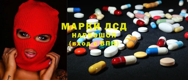 молекула духа Арсеньев