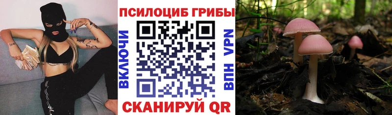 Псилоцибиновые грибы ЛСД  кракен рабочий сайт  Грайворон 