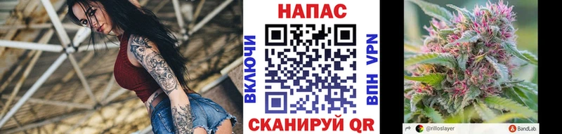 kraken ССЫЛКА  Грайворон  Бошки Шишки план  купить наркотики сайты 